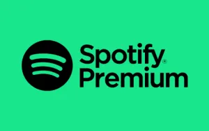 Carte cadeau Spotify Premium 6 mois