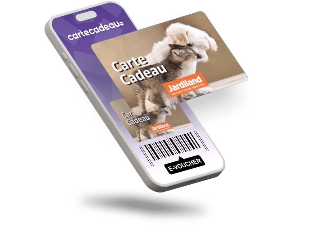 E-voucher